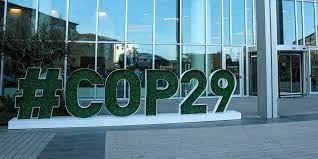COP29