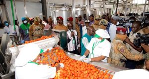 Bobo-Dioulasso: le président du Faso inaugure une usine de transformation de tomate