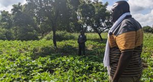 Burkina : impact des projets financés par la DGD sur l’humanitaire et le développement avec OXFAM