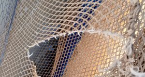 Vandalisme sur les cages flottantes de Bagré: «Tout individu reconnu coupable…sera considéré comme terroriste»