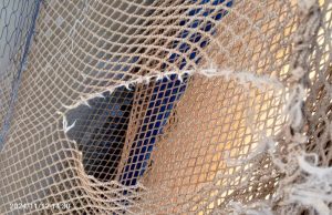Vandalisme sur les cages flottantes de Bagré: «Tout individu reconnu coupable…sera considéré comme terroriste»