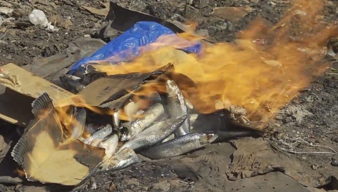 Burkina: des produits non conformes retirés du marché à Orodara