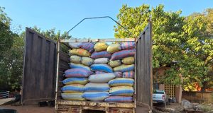 Burkina: report de l’exportation des amandes de karité
