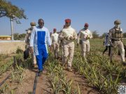 Burkina/Offensive agricole: le Chef de l’État visite un champ d’ananas