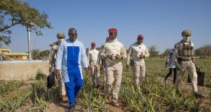 Burkina/Offensive agricole: le Chef de l’État visite un champ d’ananas