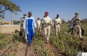 Burkina/Offensive agricole: le Chef de l’État visite un champ d’ananas