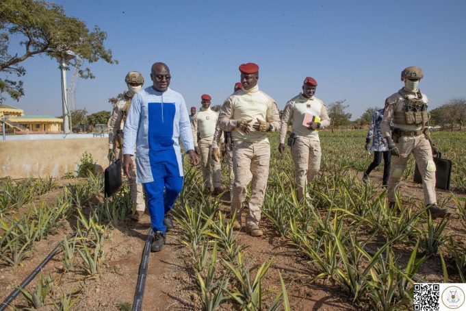 Burkina/Offensive agricole: le Chef de l’État visite un champ d’ananas