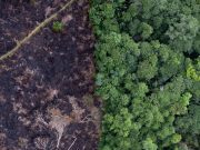A la Cour internationale de Justice, audiences historiques sur le changement climatique