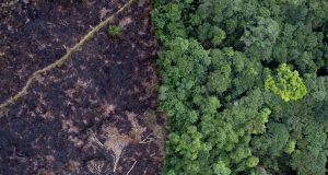 A la Cour internationale de Justice, audiences historiques sur le changement climatique