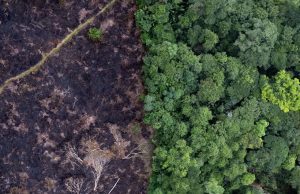 A la Cour internationale de Justice, audiences historiques sur le changement climatique