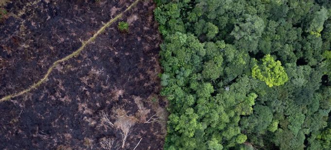 A la Cour internationale de Justice, audiences historiques sur le changement climatique