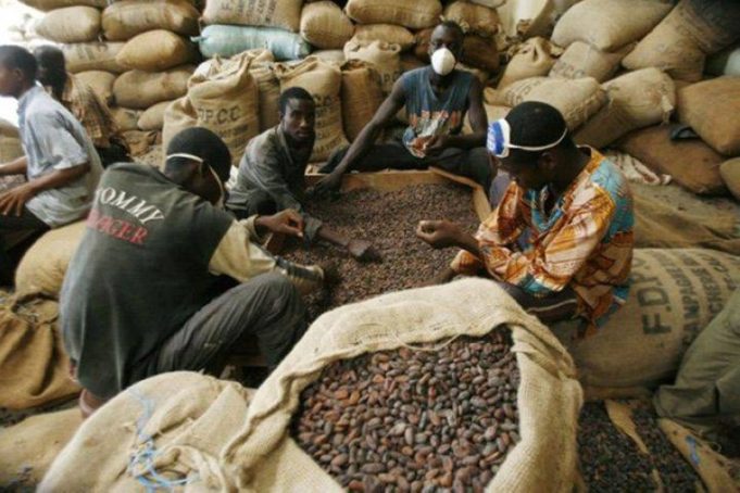 Côte d’Ivoire: fuite des produits agricoles de rente