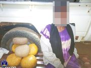 Burkina: deux trafiquants de cannabis mis aux arrêts à Pô