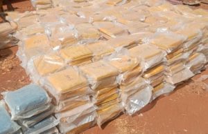 Burkina: saisie de plus de 7 000 kg de chanvre indien et d’amphétamines