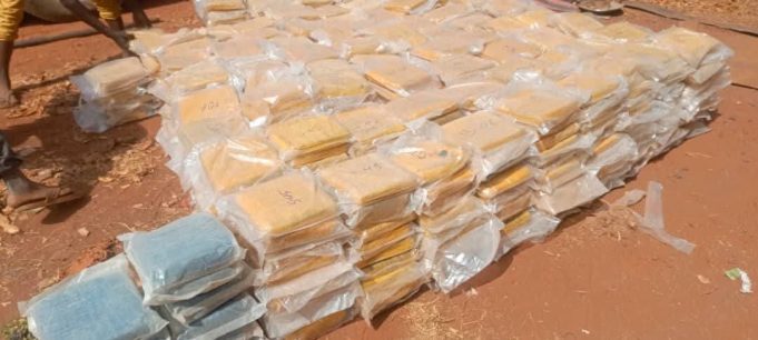 Burkina: saisie de plus de 7 000 kg de chanvre indien et d’amphétamines
