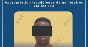 Burkina: un individu interpellé pour appropriation frauduleuse de numéraires via les TIC