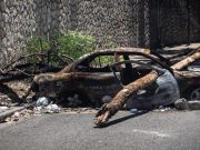Haïti : plus de 5.600 personnes tuées par la violence des gangs en 2024, selon des chiffres de l’ONU