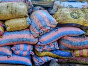 Burkina: saisie de plus de 10 tonnes d’amandes de karité