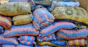 Burkina: saisie de plus de 10 tonnes d’amandes de karité