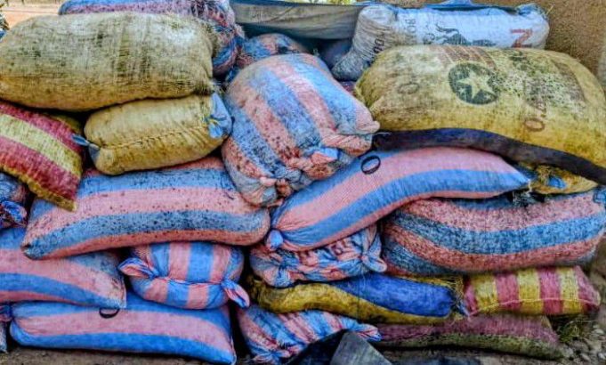 Burkina: saisie de plus de 10 tonnes d’amandes de karité