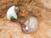 Trump en trombe, des Africains en détresse!