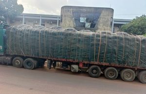 Lutte contre la fraude à l’exportation: 45 tonnes de noix brute de cajou saisies