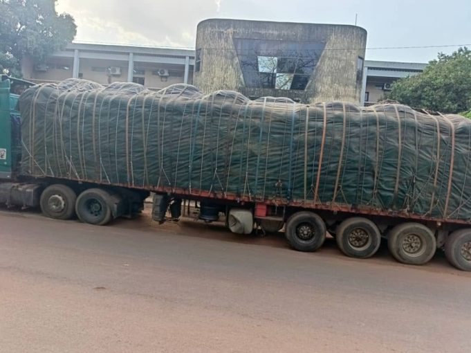 Lutte contre la fraude à l’exportation: 45 tonnes de noix brute de cajou saisies