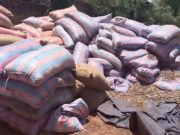 Burkina: les commerçants de la noix brute de cajou ont jusqu’au 25 février pour déclarer leurs stocks