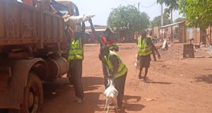 Burkina: 474 animaux en divagation conduits à la fourrière à Dédougou