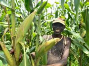 Le Burundi s’ancre dans une nouvelle dynamique régionale pour moderniser son agriculture