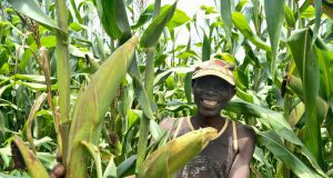 Le Burundi s’ancre dans une nouvelle dynamique régionale pour moderniser son agriculture