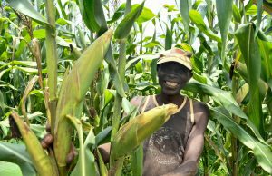Le Burundi s’ancre dans une nouvelle dynamique régionale pour moderniser son agriculture