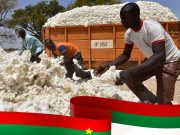 Coton: un contrat de financement de 106 Millions d’euros avec le Burkina