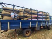 Burkina/Fraude à l’exportation: plus de 50 tonnes de noix brute de cajou saisies à Kpuéré