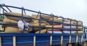 Burkina/Fraude à l’exportation: plus de 50 tonnes de noix brute de cajou saisies à Kpuéré