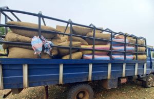 Burkina/Fraude à l’exportation: plus de 50 tonnes de noix brute de cajou saisies à Kpuéré