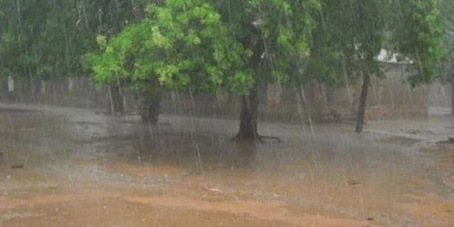 Pluie
