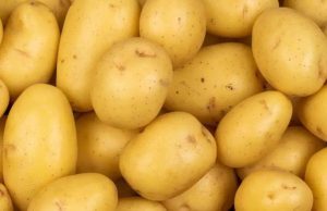 Le Burkina suspend l’importation de la pomme de terre