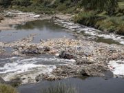 Journée de l’environnement: l’ONU tire la sonnette d’alarme sur la crise de la pollution plastique croissante
