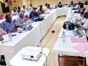 Lutte contre les MTN: un plan de communication et de plaidoyer 2024-2028 en cours de validation