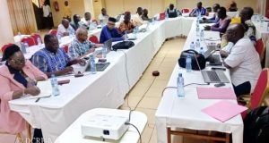 Lutte contre les MTN: un plan de communication et de plaidoyer 2024-2028 en cours de validation