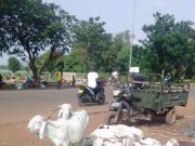 Fête du Mouton: « Que cette Tabaski soit pour l’ensemble des Burkinabè une source d’espoir » (CERFI)