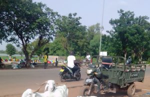 Fête du Mouton: « Que cette Tabaski soit pour l’ensemble des Burkinabè une source d’espoir » (CERFI)
