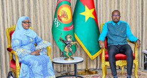 Développement énergétique: une délégation des pays du Sahel chez le Premier ministre