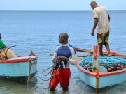 «Pas de déclaration sur l’océan sans les petites îles»: les États insulaires donnent de la voix