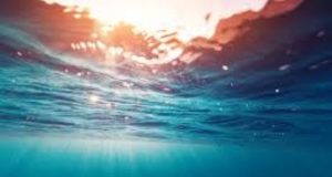 Conférence de l’ONU à Nice : plus d’un tiers des stocks mondiaux de poissons surexploités