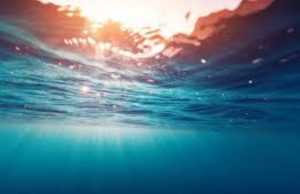 Conférence de l’ONU à Nice : plus d’un tiers des stocks mondiaux de poissons surexploités