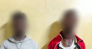 Côte d’Ivoire/Lutte contre la drogue: deux individus épinglés à Bouaflé