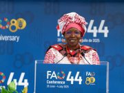 Le Burkina Faso et le Niger élus au Conseil de la FAO