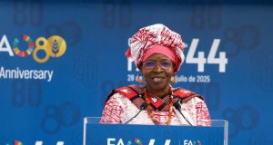 Le Burkina Faso et le Niger élus au Conseil de la FAO